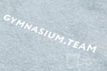 Серая толстовка с надписью «GYMNASIUM.TEAM»