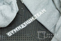 Серая толстовка с надписью «GYMNASIUM.TEAM»